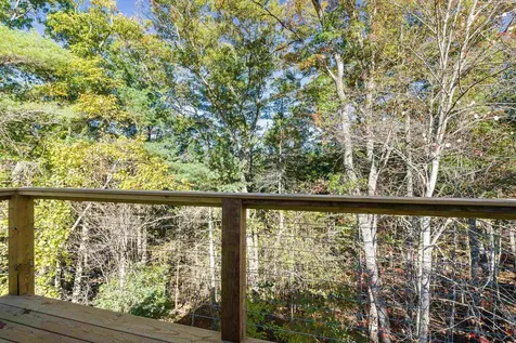 65 Mountain Deer Run West Augusta VA 24485