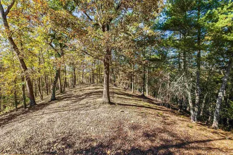 65 Mountain Deer Run West Augusta VA 24485