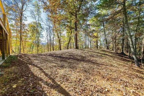 65 Mountain Deer Run West Augusta VA 24485