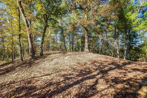 65 Mountain Deer Run West Augusta VA 24485