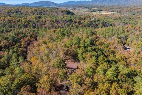65 Mountain Deer Run West Augusta VA 24485