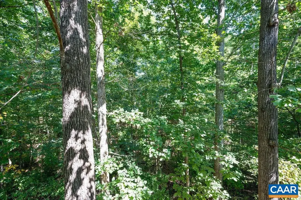 1549 Reynovia Drive Charlottesville VA 22902