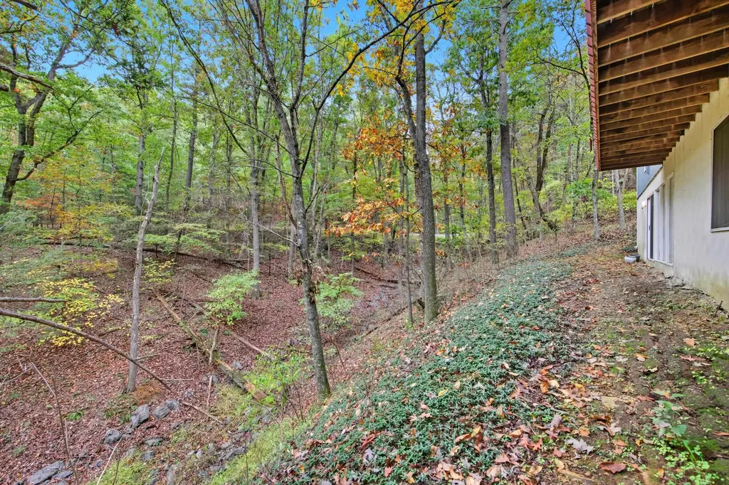 16 Spruce Hollow Road Basye VA 22810