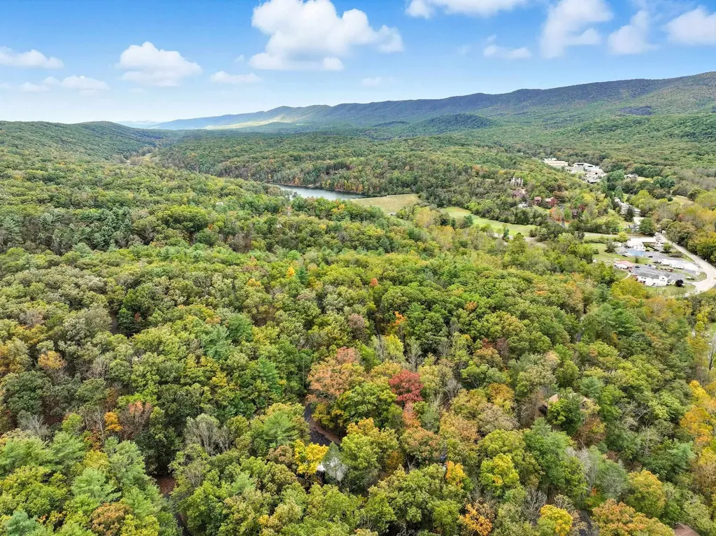 16 Spruce Hollow Road Basye VA 22810