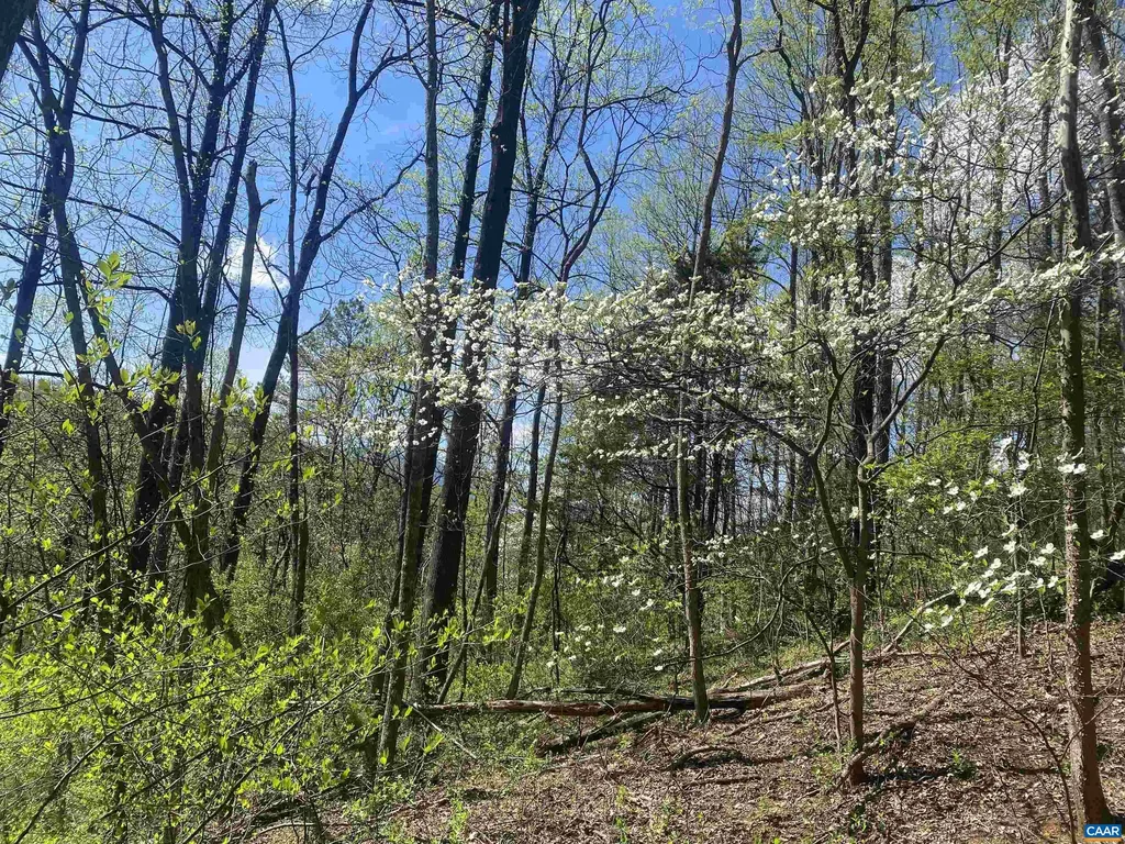 2728 East Branch Loop Roseland VA 22967