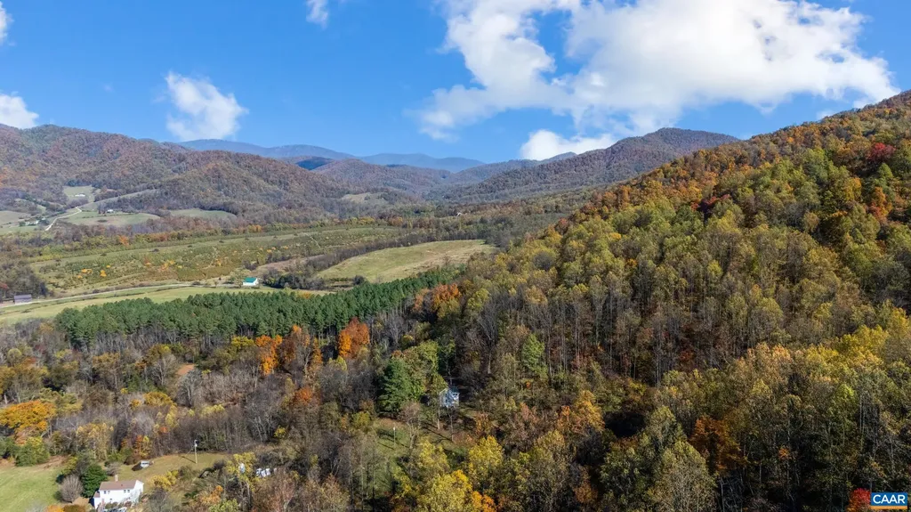 2728 East Branch Loop Roseland VA 22967