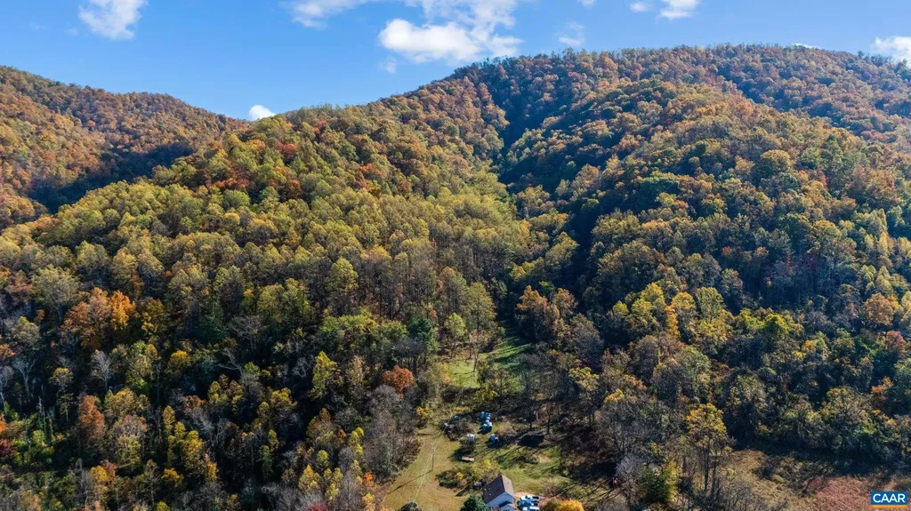 2728 East Branch Loop Roseland VA 22967