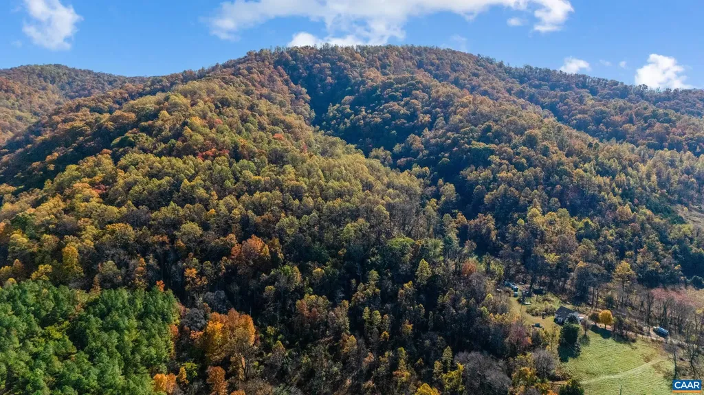 2728 East Branch Loop Roseland VA 22967