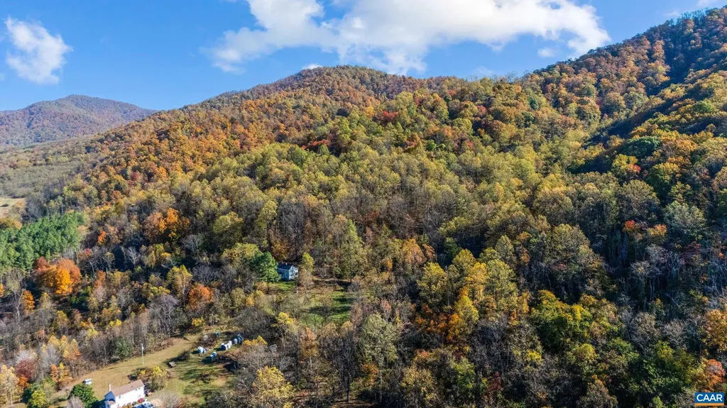 2728 East Branch Loop Roseland VA 22967