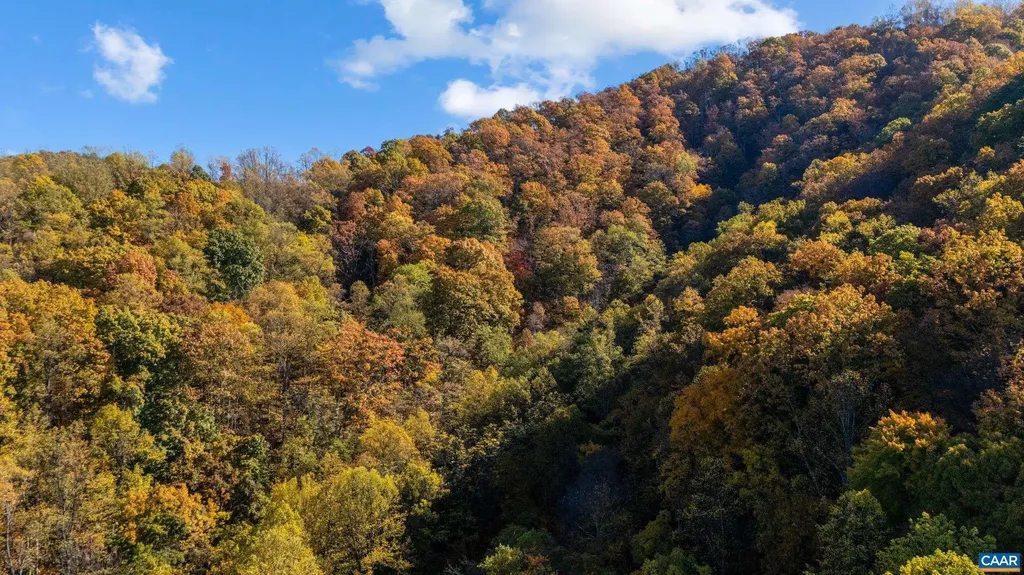 2728 East Branch Loop Roseland VA 22967