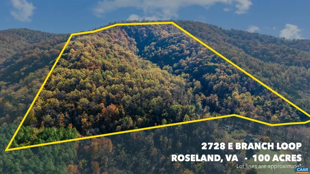 2728 East Branch Loop Roseland VA 22967