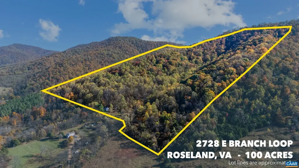 2728 East Branch Loop Roseland VA 22967