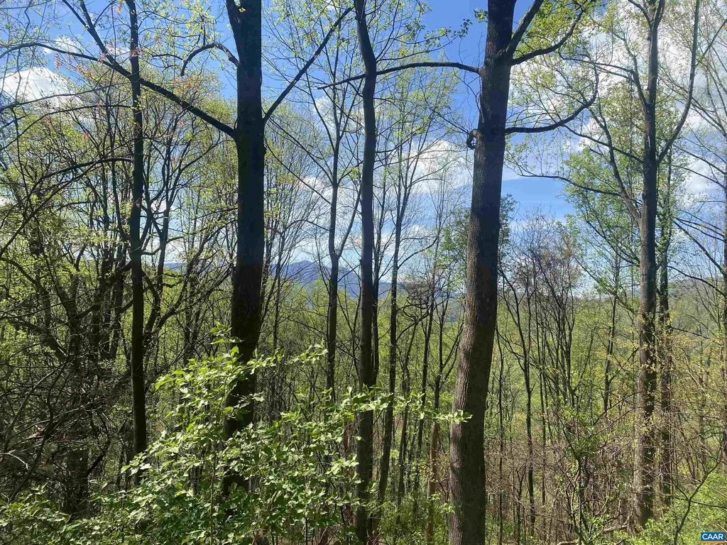 2728 East Branch Loop Roseland VA 22967