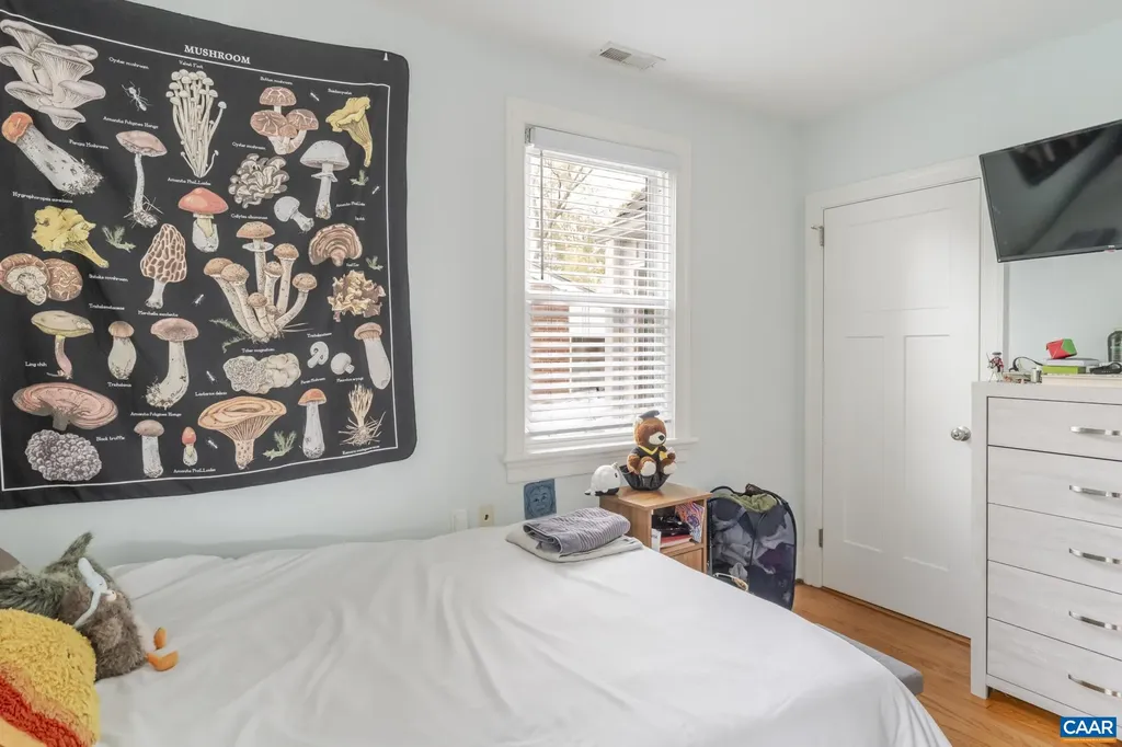 203 Raymond Avenue Charlottesville VA 22903