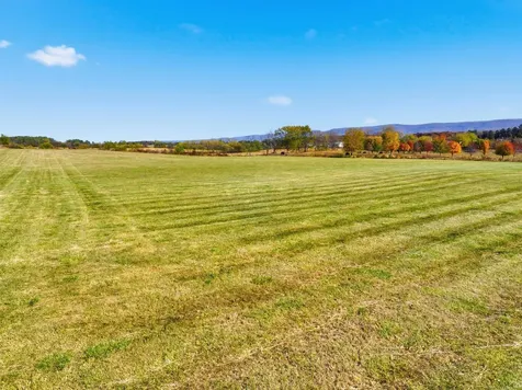 0 Bauserman Road Mt Jackson VA 22842