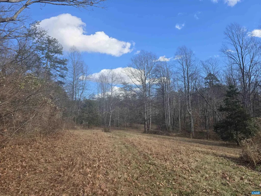 Lot C Sycamore Lane Ruckersville VA 22968