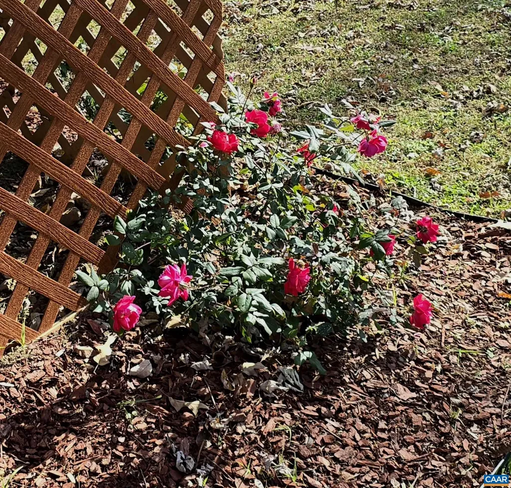 388 Yancey Mill Lane Crozet VA 22932