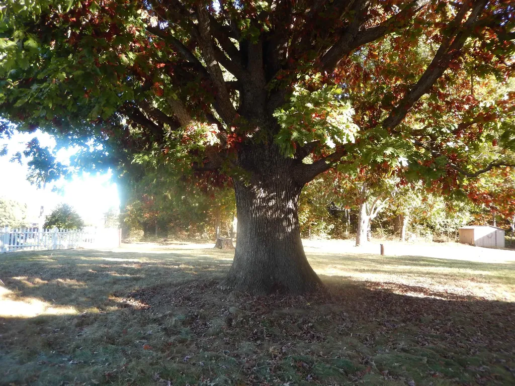 2658 North East Side Highway Elkton VA 22827