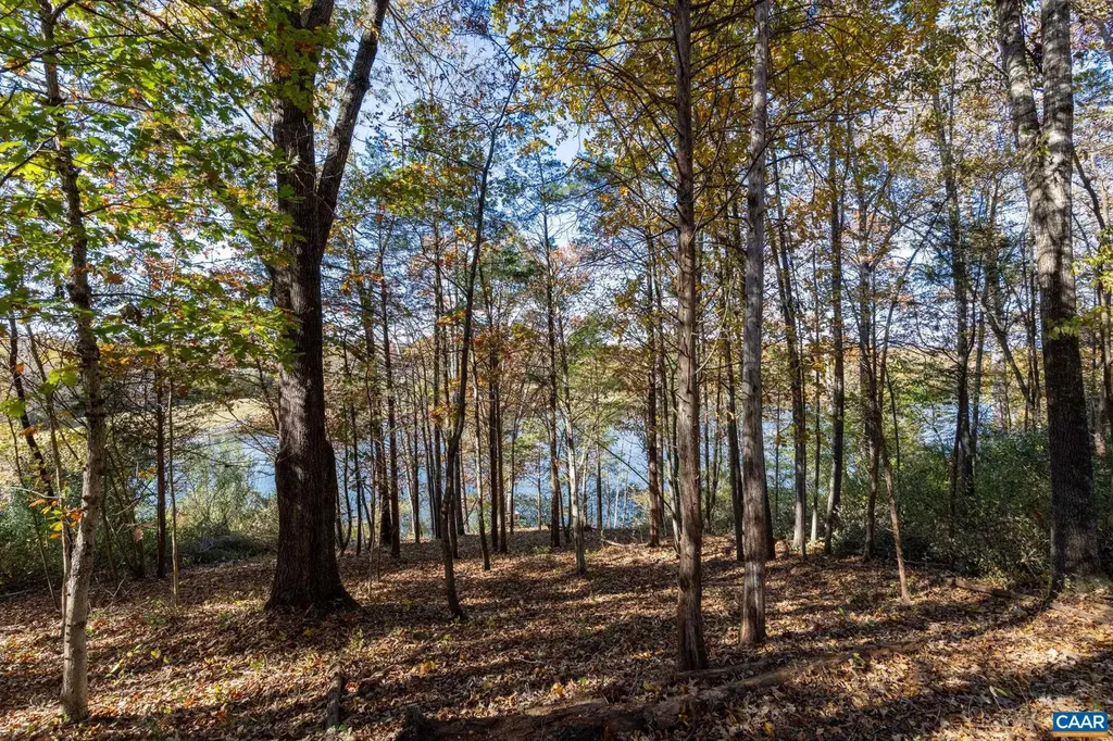 736 Jonquil Road Ruckersville VA 22968