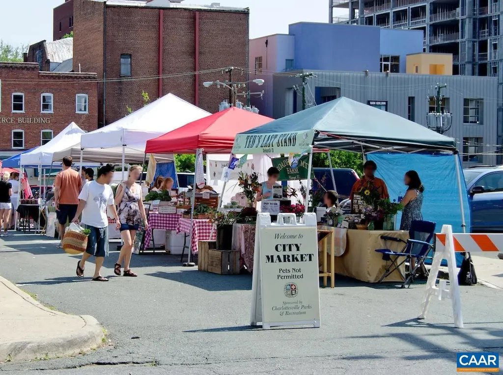 253 East Jefferson Street Charlottesville VA 22902