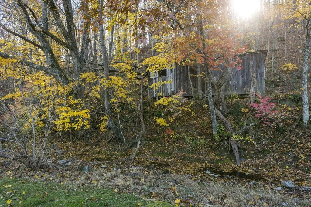 165 W Railroad Avenue Craigsville VA 24430