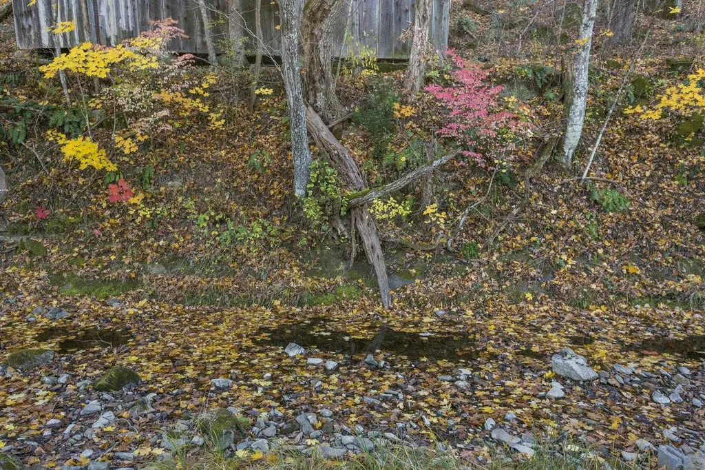 165 W Railroad Avenue Craigsville VA 24430