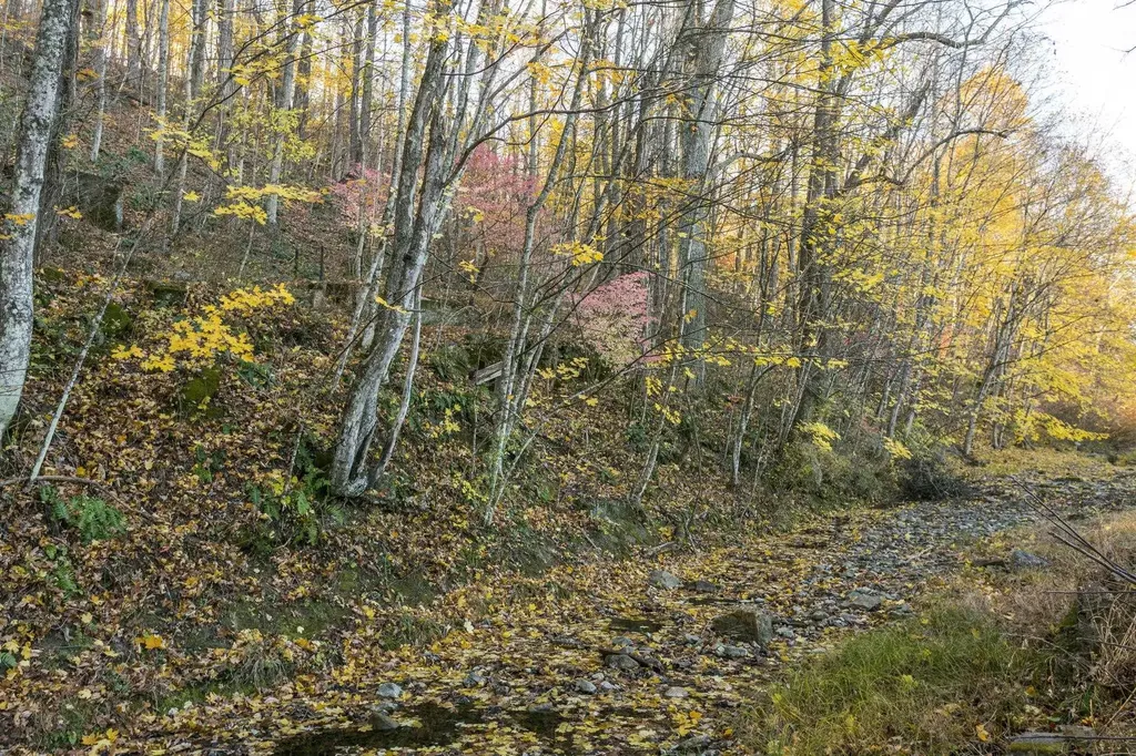 165 W Railroad Avenue Craigsville VA 24430