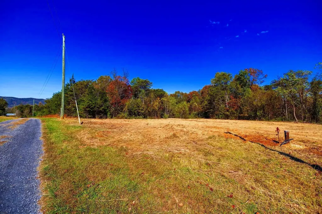 Lot 2 Young Road Rileyville VA 22650