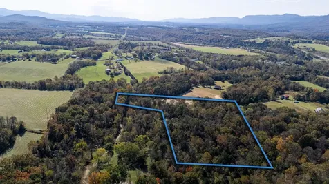 Lot 2 Young Road Rileyville VA 22650