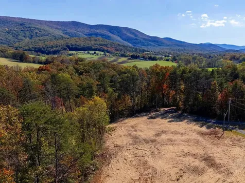 Lot 2 Young Road Rileyville VA 22650