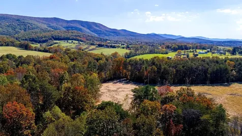 Lot 2 Young Road Rileyville VA 22650