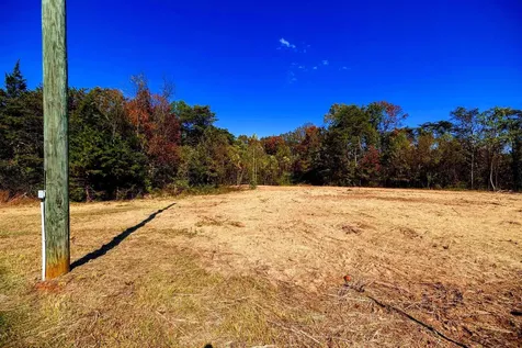 Lot 2 Young Road Rileyville VA 22650