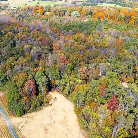 Lot 2 Young Road Rileyville VA 22650