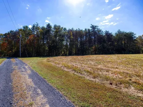 Lot 1 Young Road Rileyville VA 22650