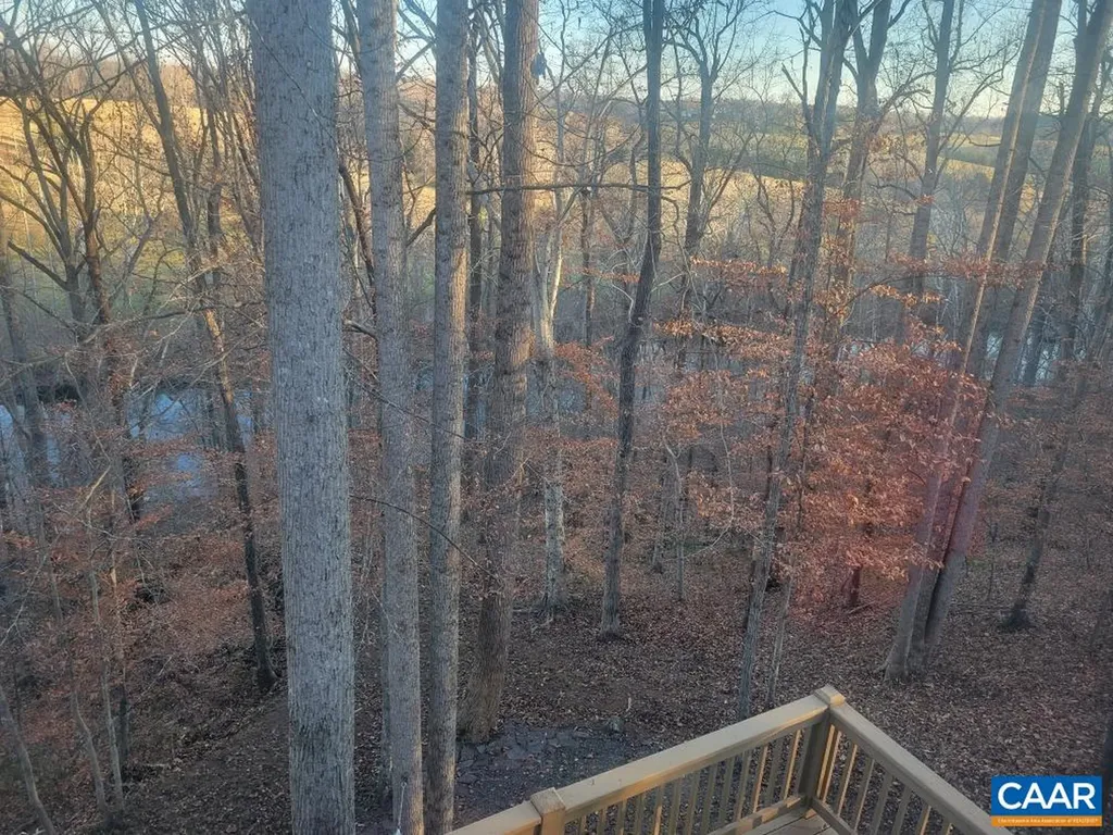 60 Chippewa Lane Palmyra VA 22963