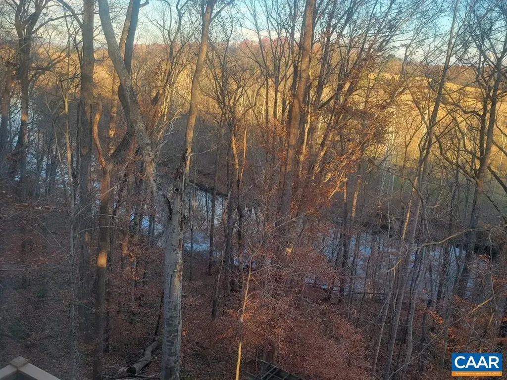 60 Chippewa Lane Palmyra VA 22963