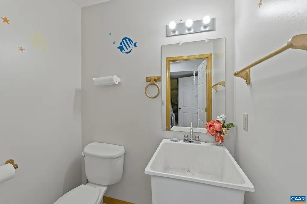 60 Chippewa Lane Palmyra VA 22963