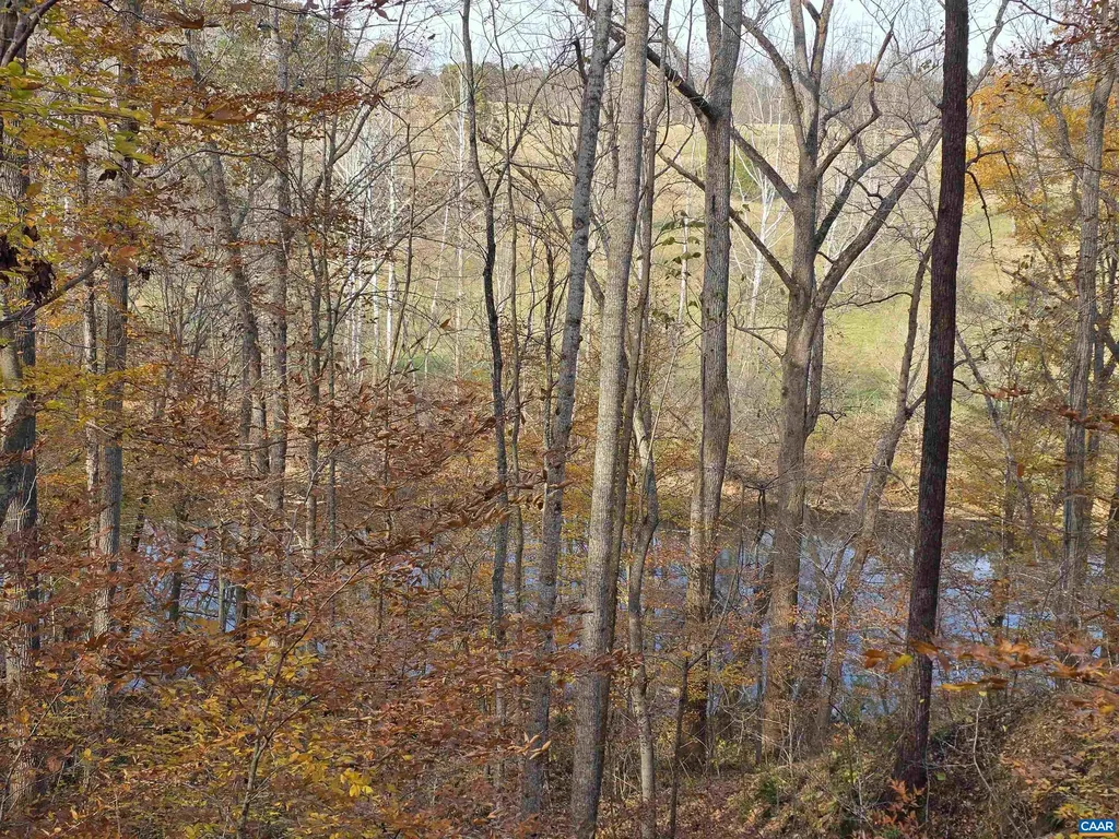 60 Chippewa Lane Palmyra VA 22963