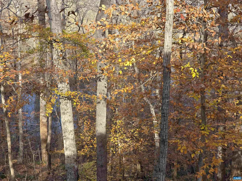 60 Chippewa Lane Palmyra VA 22963