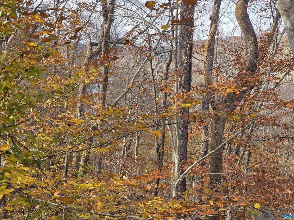 60 Chippewa Lane Palmyra VA 22963