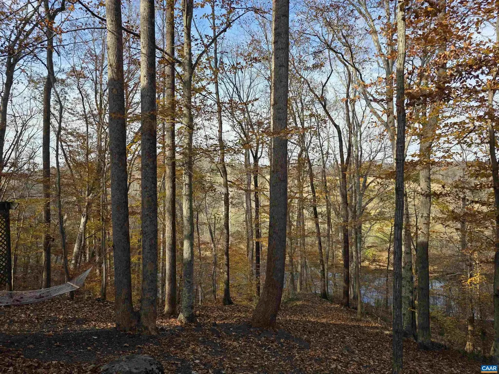 60 Chippewa Lane Palmyra VA 22963