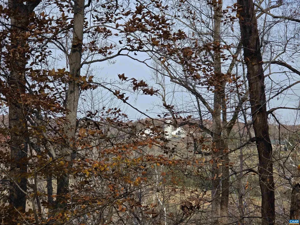 60 Chippewa Lane Palmyra VA 22963