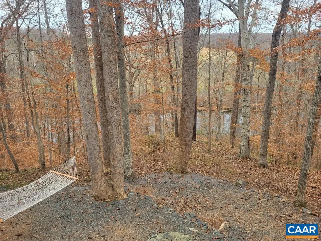 60 Chippewa Lane Palmyra VA 22963