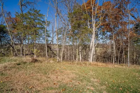 Tbd Roman Ridge Road W Mount Sidney VA 24467