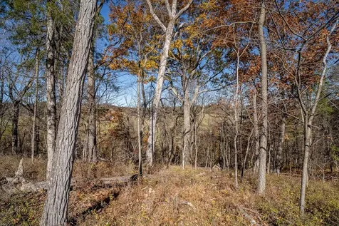 Tbd Roman Ridge Road W Mount Sidney VA 24467