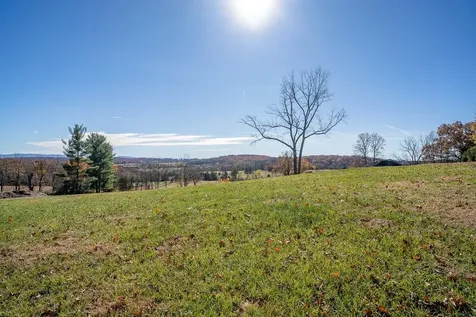 Tbd Roman Ridge Road W Mount Sidney VA 24467