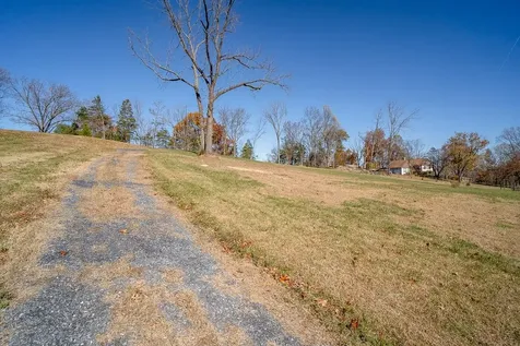 Tbd Roman Ridge Road W Mount Sidney VA 24467