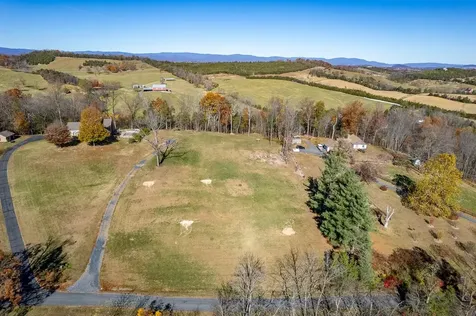Tbd Roman Ridge Road W Mount Sidney VA 24467