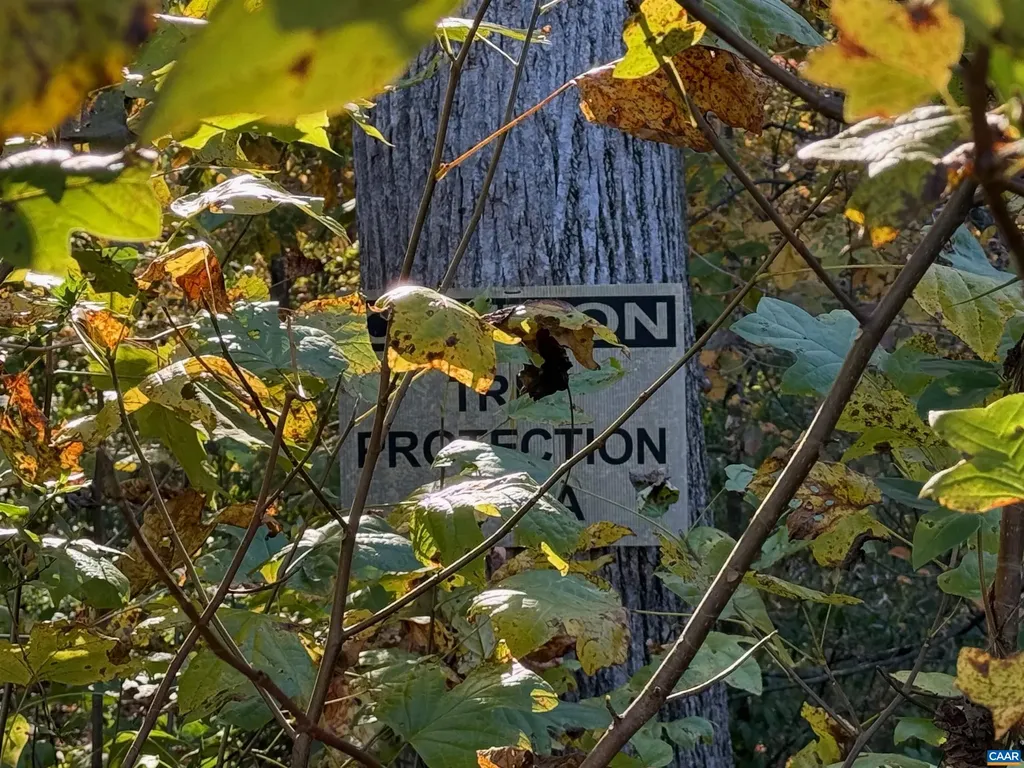 5227 Sparrow Hill Lane Charlottesville VA 22903