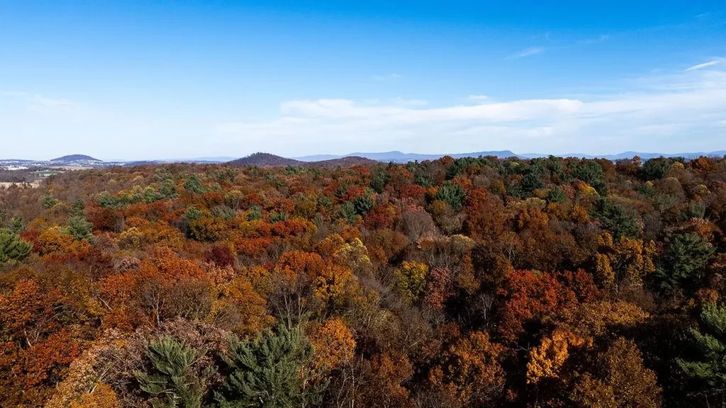 333 Bridgewater Road Bridgewater VA 22812